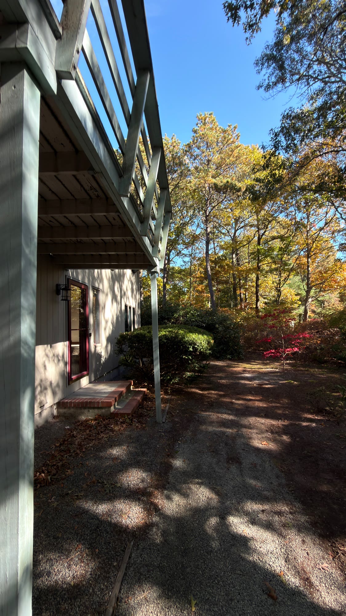 Shrubs by the rear door, under the deck